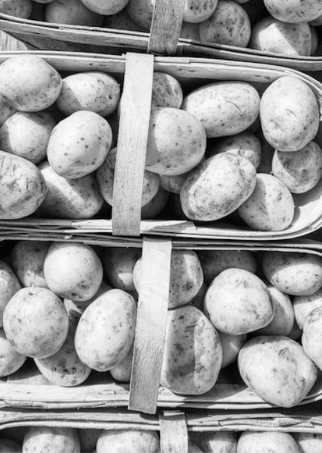 Pam's Funeral Potatoes