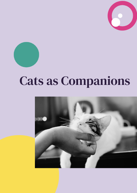 Cats As Companions